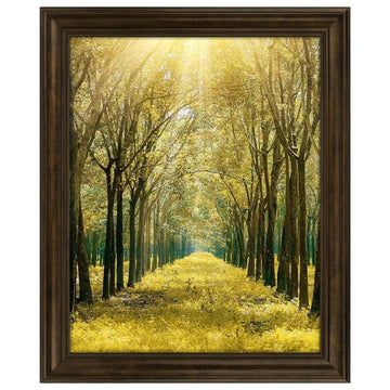 16x20 Ornate Picture Frame, Real Glass, Dark Brown Poster Photo Frame