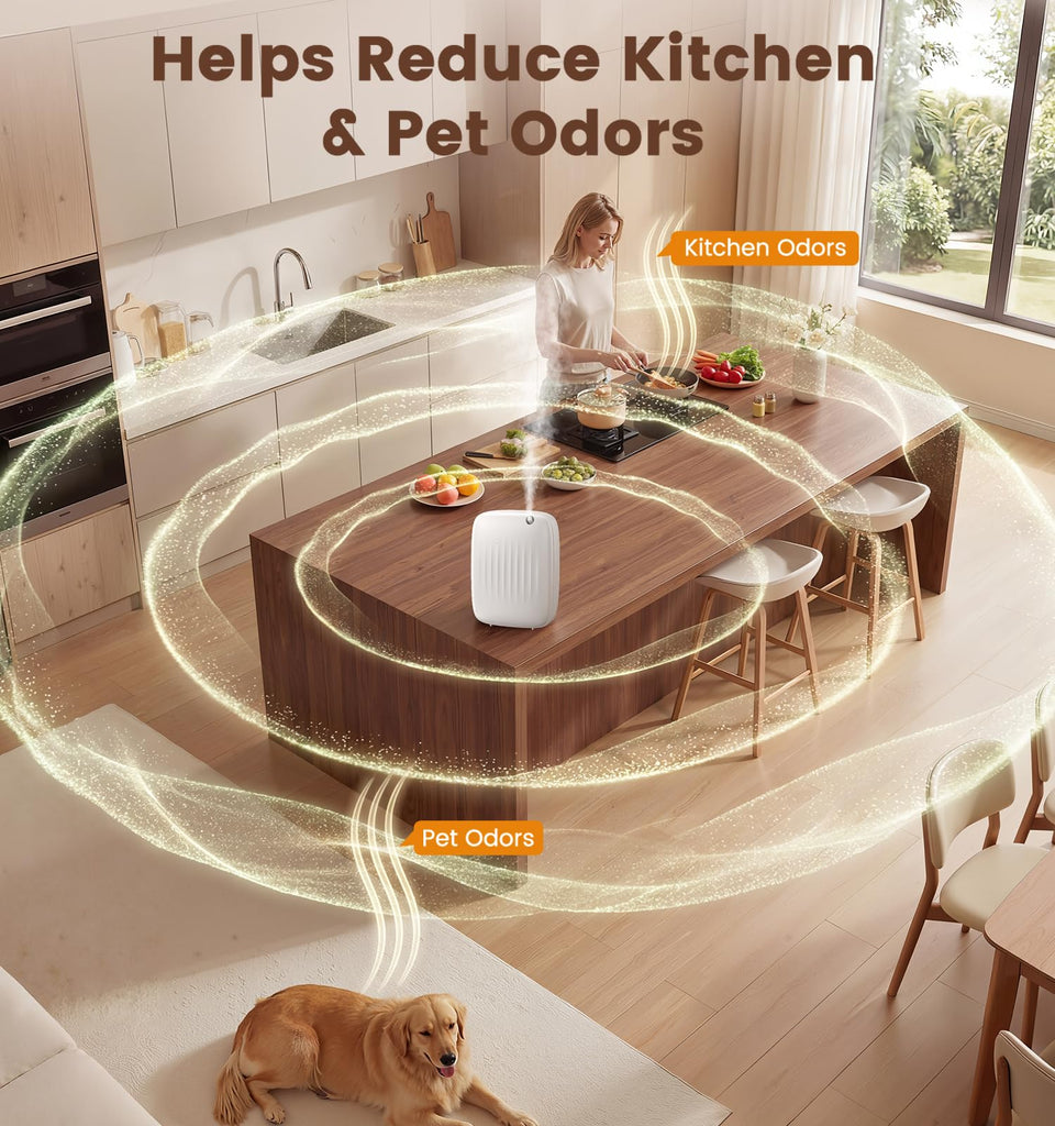Waterless Essential Oil Diffuser Up to 3000sq.ft Whole-Home Scent