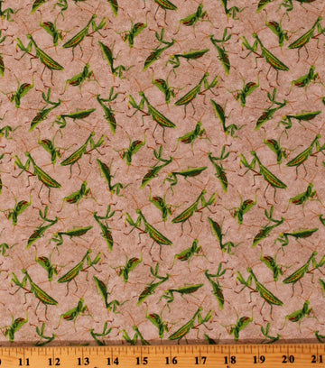 Cotton Praying Mantis Mantises Insects Bugs on Cracked Dirt Earth Ground Frolicking Field Cotton Fabric Print by The