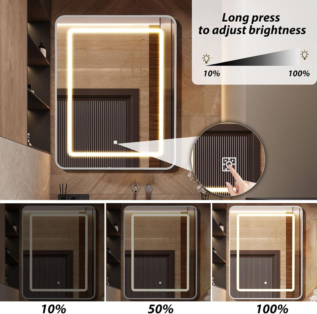 20x30 Inch Lighted Bathroom Medicine Cabinet with Mirror, Silver Recessed or Surface Mount Medicine Cabinet Mirror
