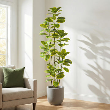 Artificial Ficus Tree 7FT, Tall Fake Plants Indoor in White Pot