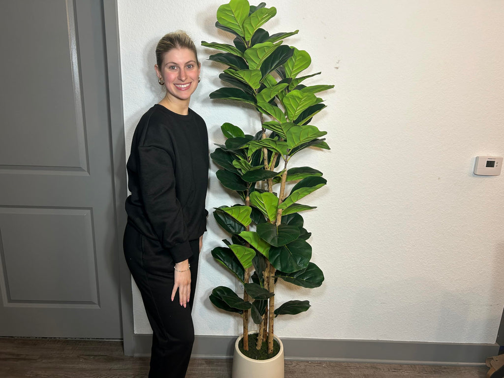 6 ft Faux Fiddle Leaf Fig Tree with White Pot