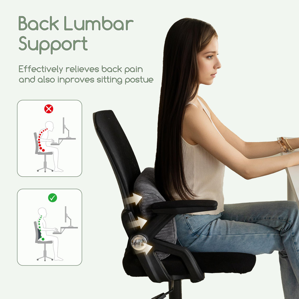 Lumbar Support Pillow for Recliner Chair/Accent Chair/Couch, Memory Foam Back Support Cushion for Elderly, Recliner