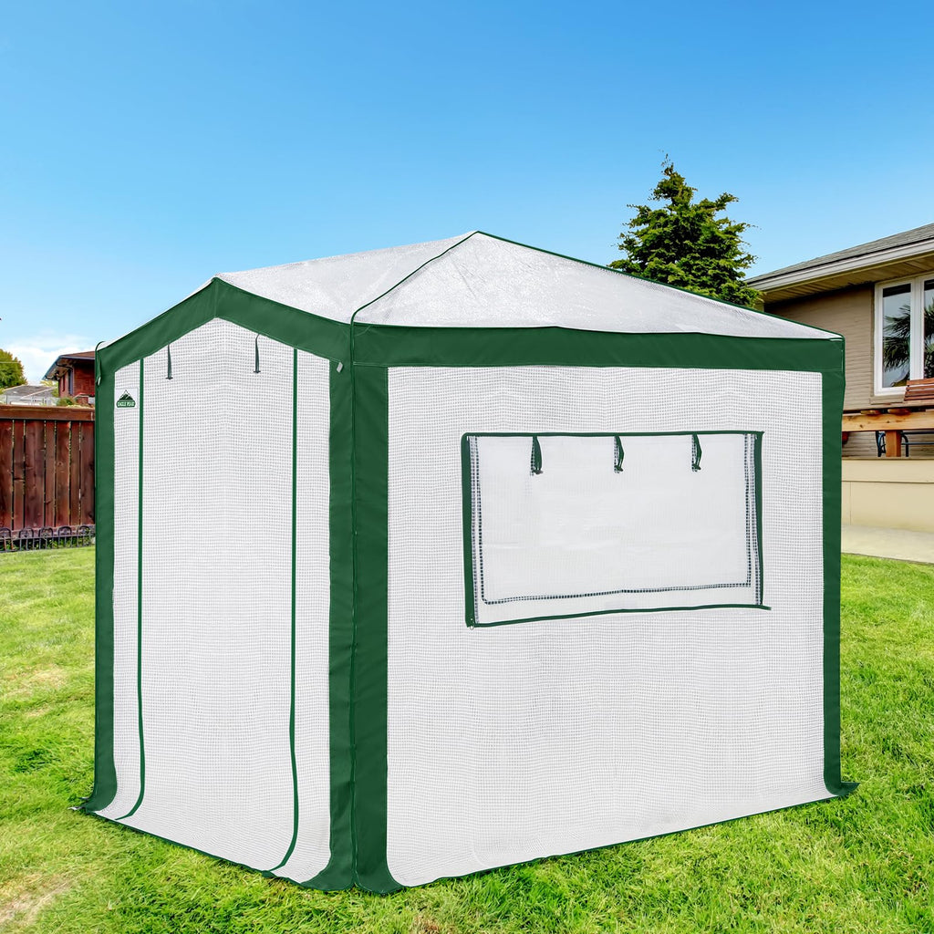 8x6 Walk in Pop Up Greenhouse, Green/White
