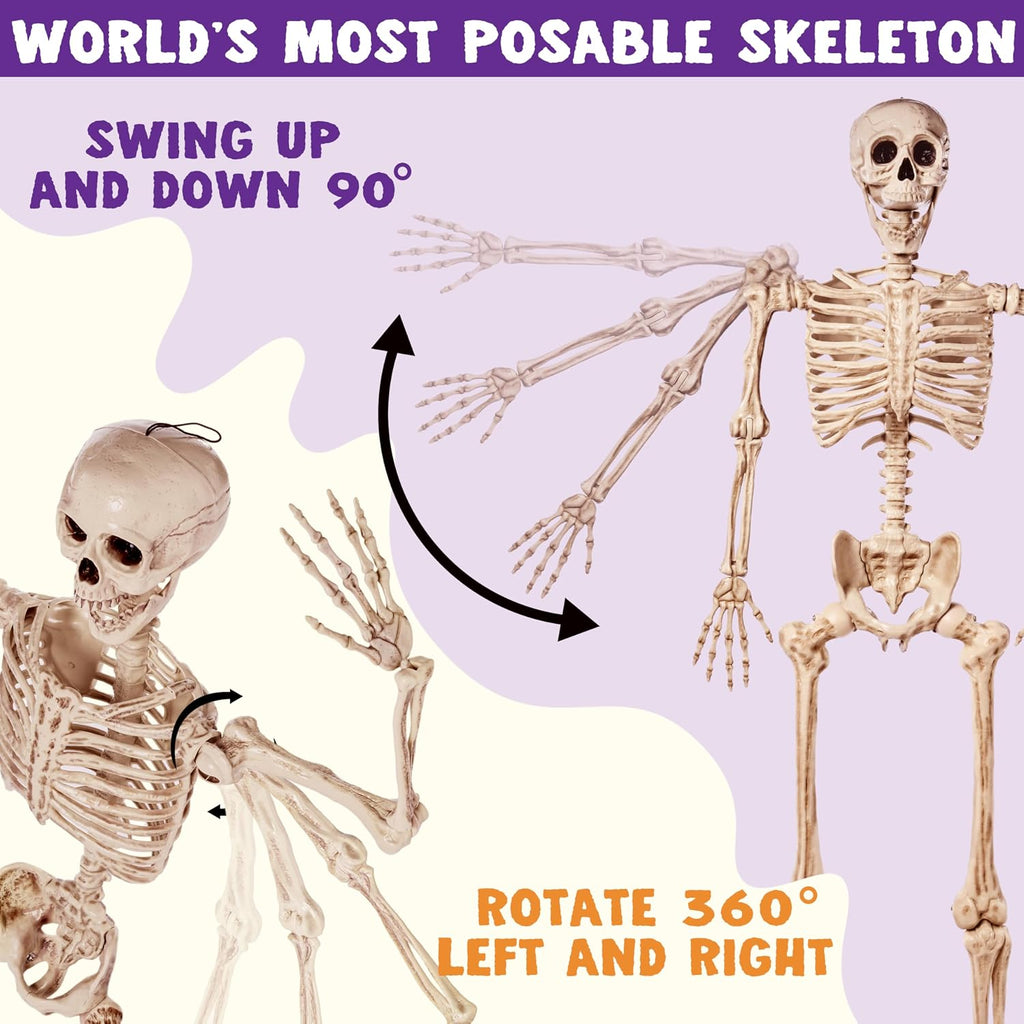5.6 FT Halloween Posable Life Size Skeleton, Full Body Realistic Bones with Movable Joints, Giant Skeletons Halloween