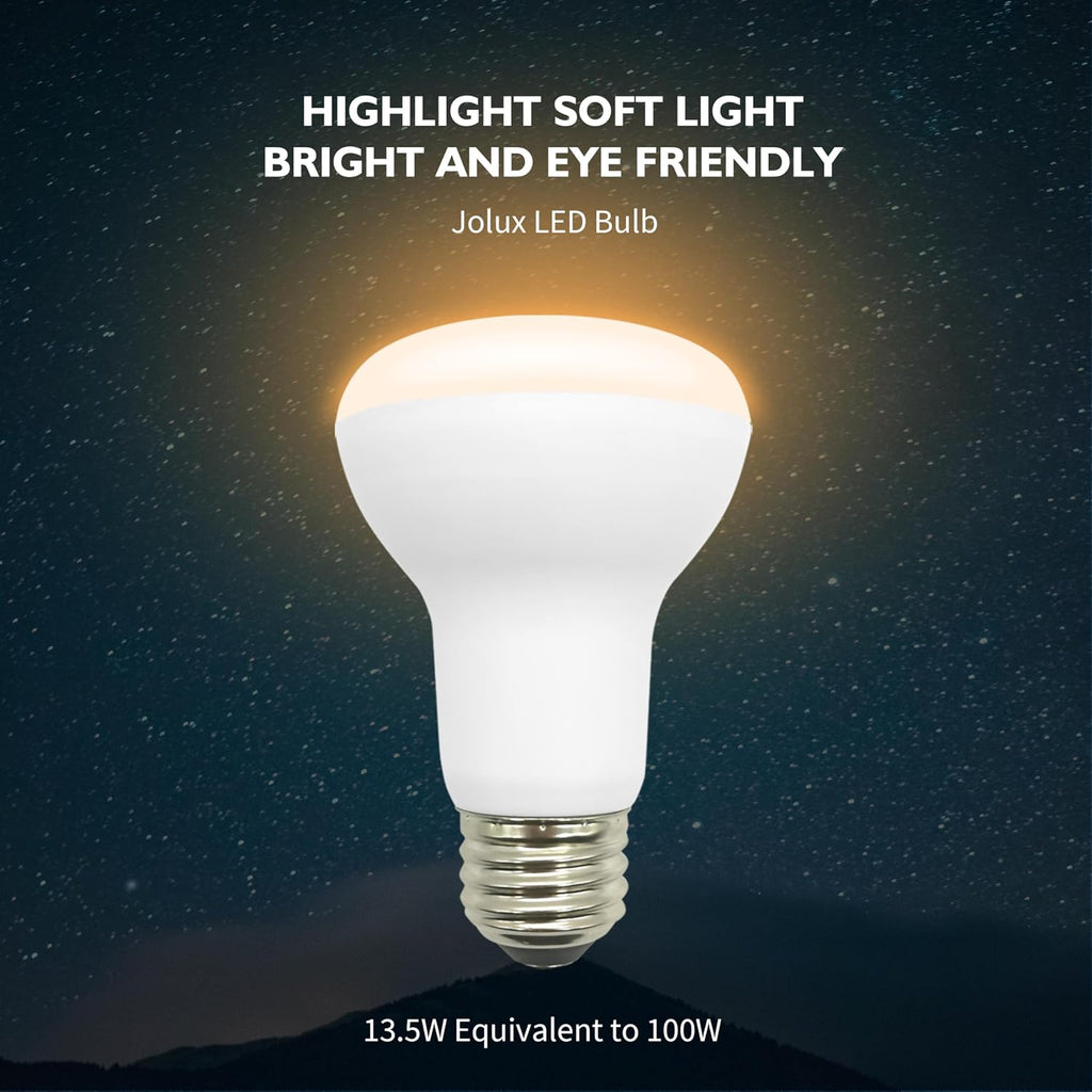10 Pack BR20 LED Bulb, 2700K Dimmable,1470 Lumens, 13.5W=100W