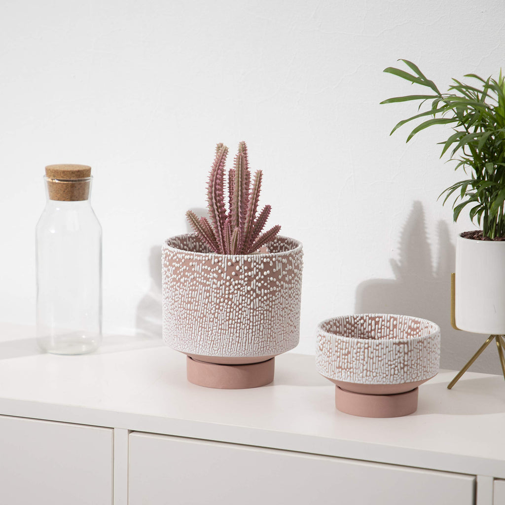 Planter Ceramic Flower Pot for Indoor Plants | 5.5 inch + 4.9 inch Plant Pot with Saucer and Drainage Hole for Aloe