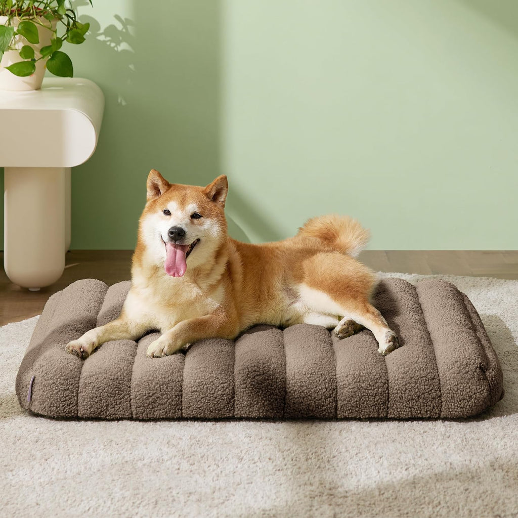Cute Orthopedic Dog Bed Medium Size Dog, Waterproof Chic Flat Pet Beds with Removable Washable Cover, Fuzzy Thick Egg
