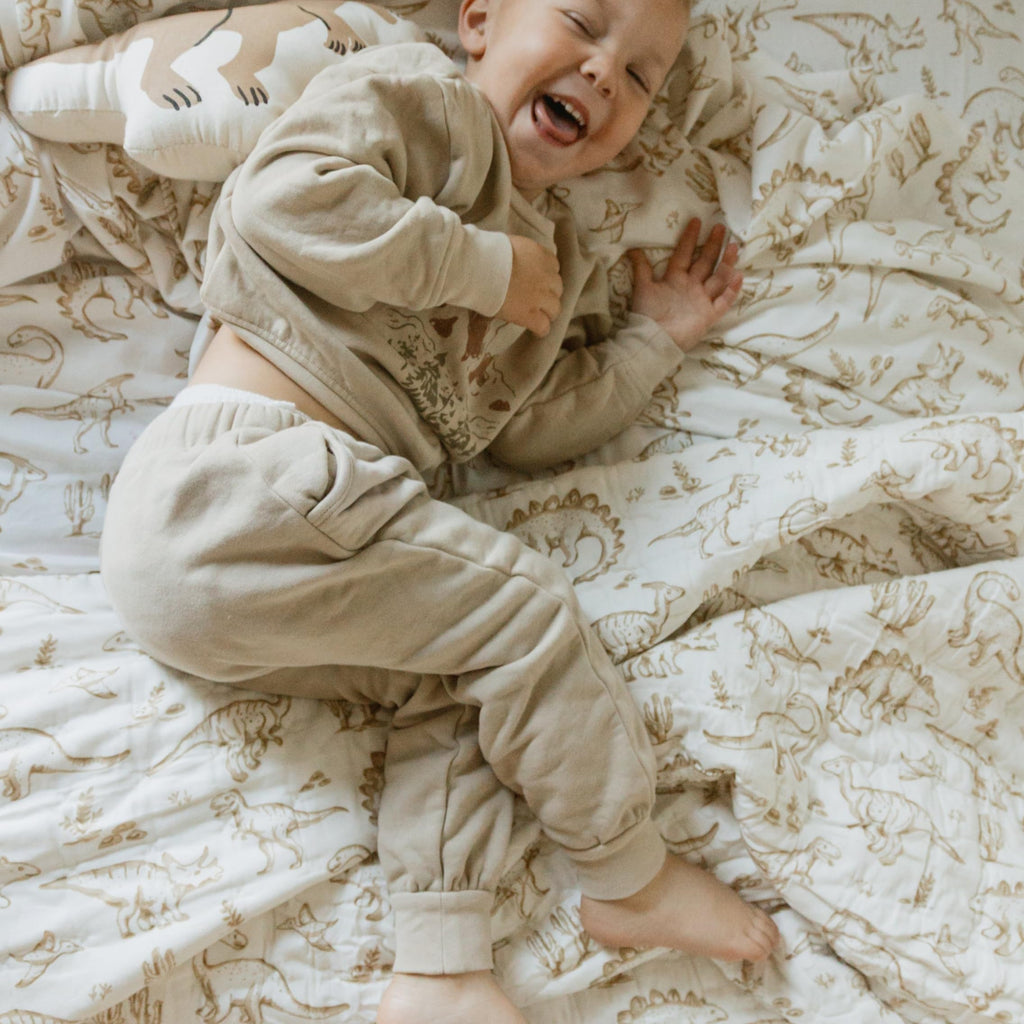 Queen Fitted Sheet Set GOTS Certified Organic Cotton Fitted Sheet with 2 Pillowcase Ultra Soft Non Toxic Breathable