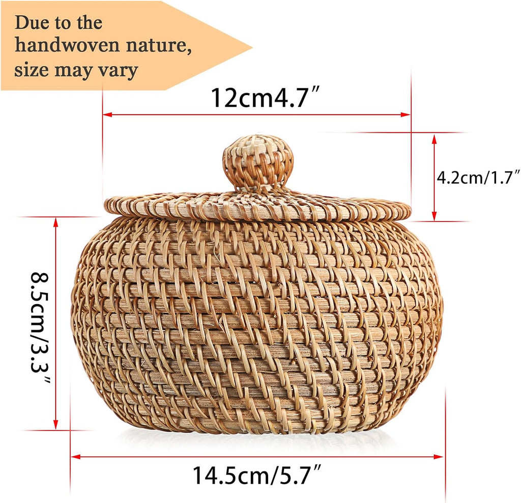 Round Rattan Basket Box with Lid Wicker Storage Baskets Bin, X-Small