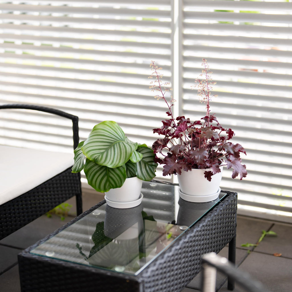 Set of 2 Minimalist Plant Pots (6.5" & 5.5") - Modern Indoor Planters with Drainage & Saucers & Plugs - Durable