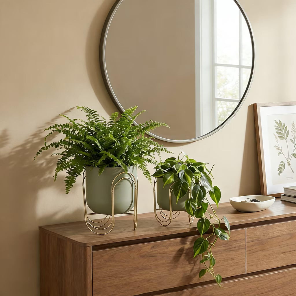 Set of 2 Planters with Stand 11.5/8" H (Green)