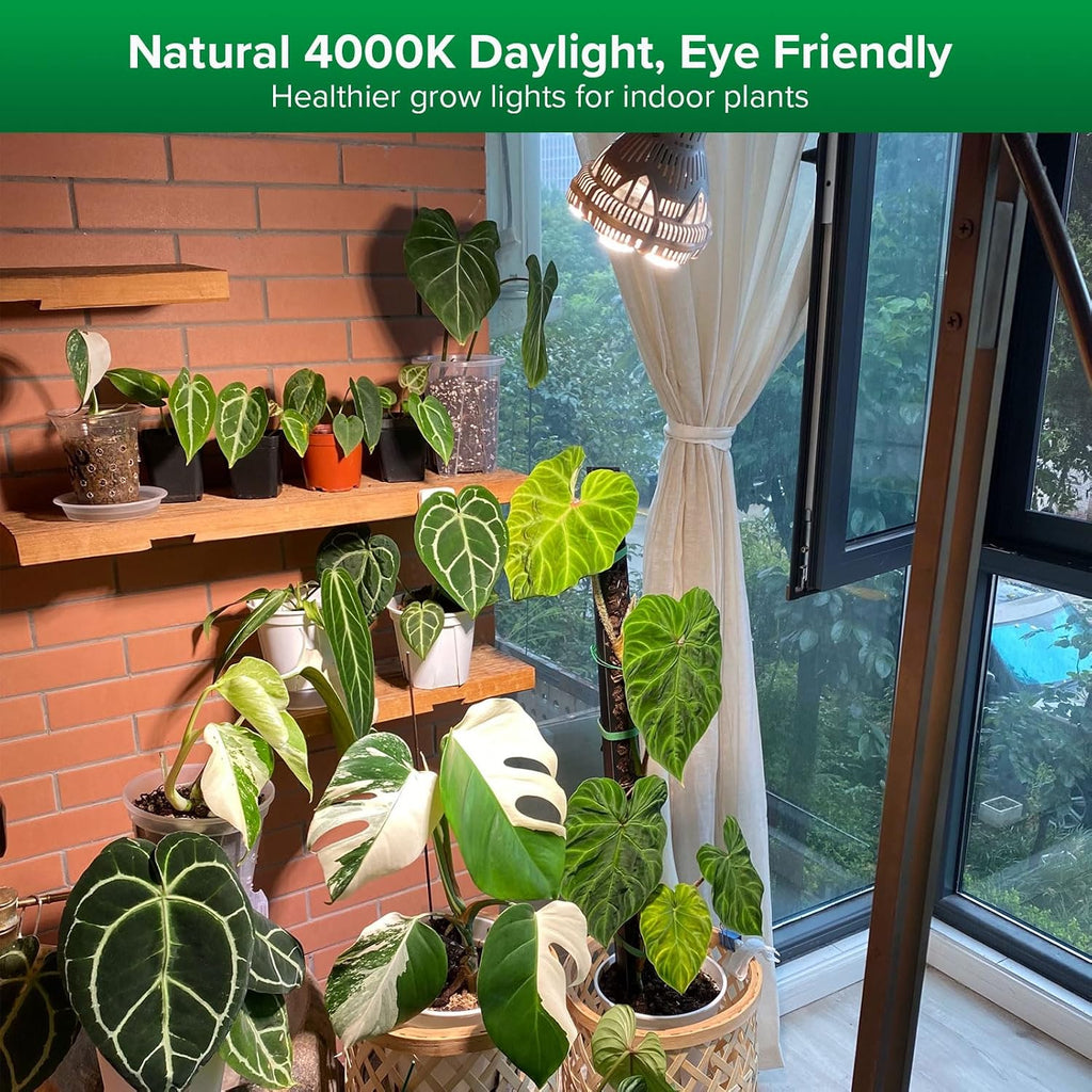 Grow Light Bulbs for Indoor Plants, 24W Full Spectrum 4000K Daylight