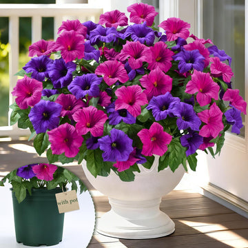 Artificial Flowers for Outdoors, 1 Potted Realistic Fake Outdoor Flowers