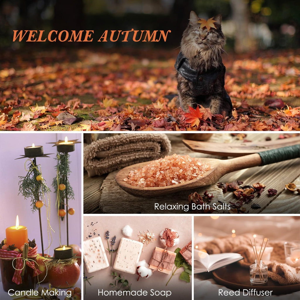 Fall Fragrance Oils Set, Autumn Essential Oil for Diffuser, Candle Making, Aromatherapy Oils Gift - Cinnamon, Pumpkin - Set of 2