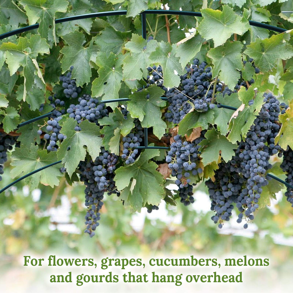 Multi-Size Large Garden Support Arch Frame Climbing Plant Arch Arbor for Flowers/Fruits/Vegetables (13FT x 7FT x