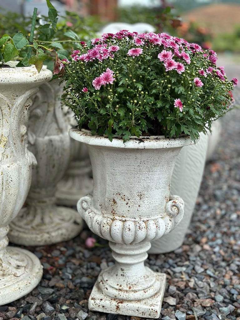 Vintage European Garden Urn Planter, Cement and Fiber Flower Pot, 19.7 Inche Tall, Make Rust Finished, Delivered from