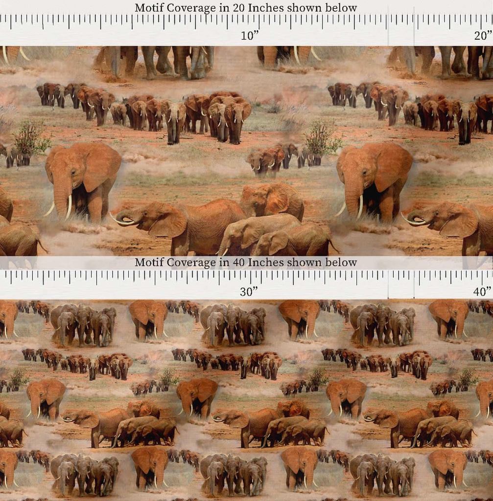 Cotton Cambric Orange Fabric - by The Yard - 42 Inch Wide - Tree & Elephant Animal Fusion Textile - Nature-Inspired
