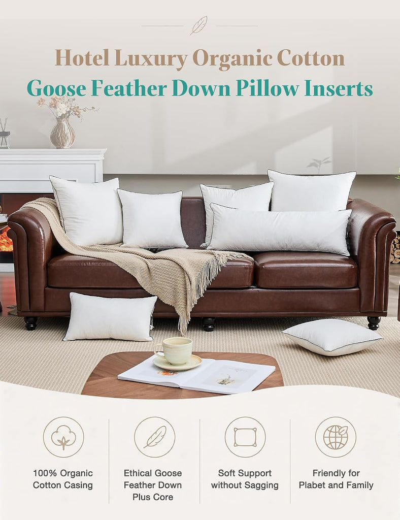 Goose Feather Down Throw Pillow Inserts 22x22 Inch - Set of 2