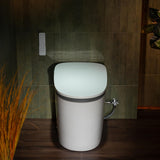 Smart One-Piece Toilet with Built-In Tank and Bidet, Powerful Flush, Foam System, Foot Sensor, Warm Air Dryer, Auto Flush, ADA Comfort Height, Blackout Flush, Heated Seat