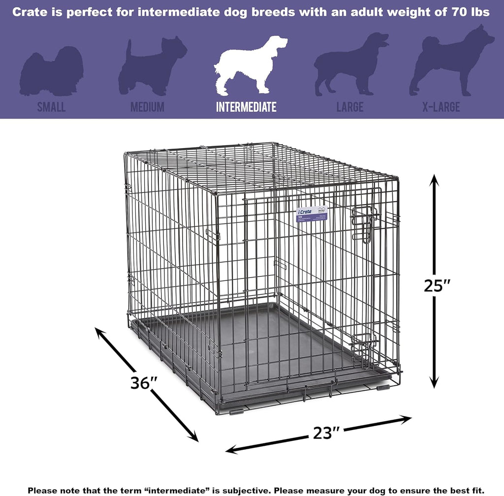 36-Inch iCrate for Medium-Large Breeds, 41-70 lbs, Single Door Folding Dog Crate with Divider Panel