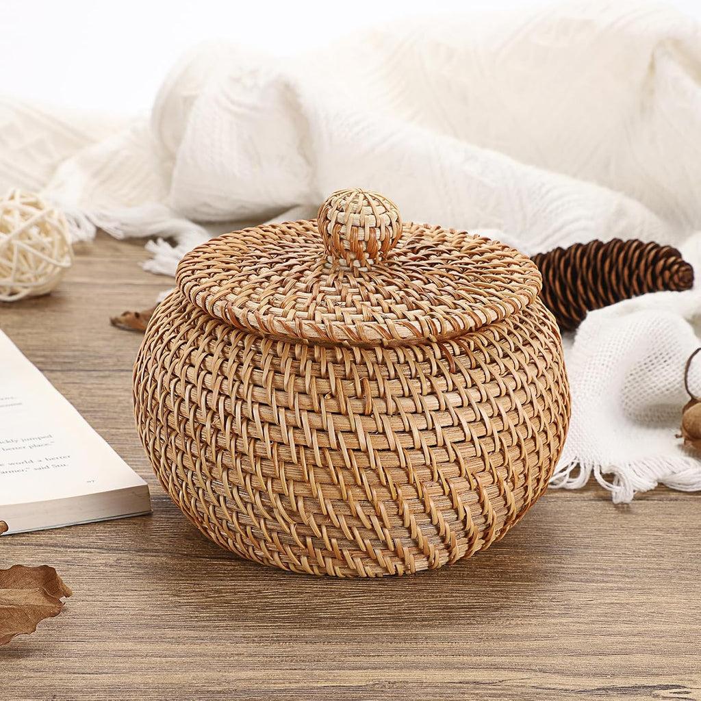 Round Rattan Basket Box with Lid Wicker Storage Baskets Bin, X-Small