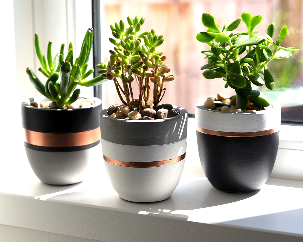 Hand Painted Indoor Plant Pots, Set of 3 Modern Cement Succulent Pots with Drainage, Best Planters for Cactus, Herbs
