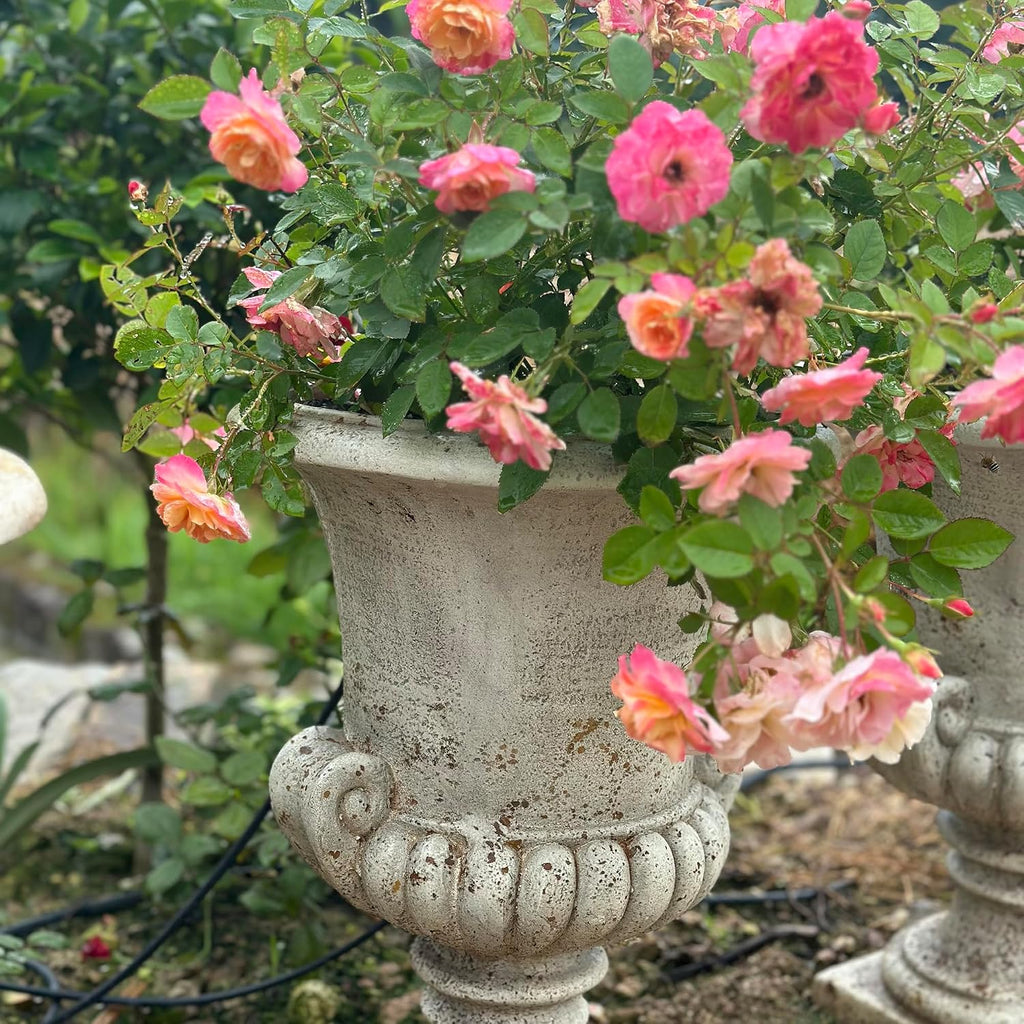 Vintage European Garden Urn Planter, Cement and Fiber Flower Pot, 19.7 Inche Tall, Make Rust Finished, Delivered from