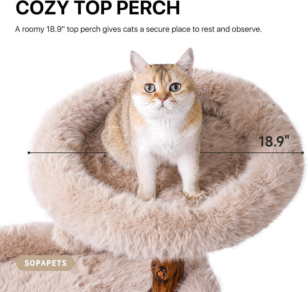 Maine Coon Cat Tree for Large Cats, Solid Wood Cat Tower with Removable Cushions and Sisal Scratching Posts, Modern