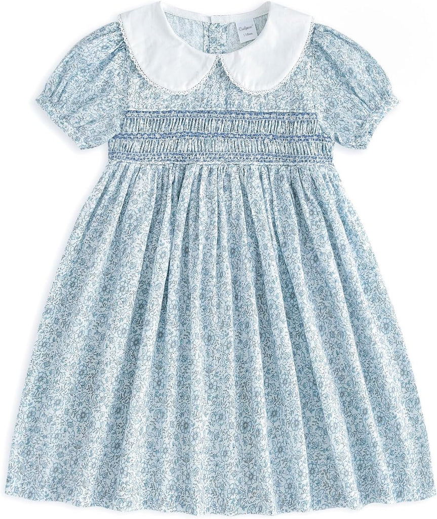 Toddler Girl Smocked Dress, Ruffle Floral A Line
