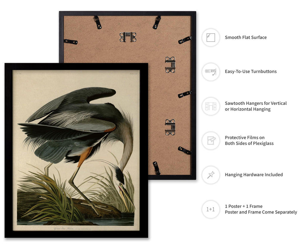 Master Vintage James Audubon Poster - Retro Great Blue Heron Print - Birds of America Art - Gift for Men, Women &