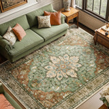 Area Rugs Washable Non-Slip, Floral Vintage Distress Print Pattern Medallion Carpet for Living Room Bedroom Dining Room