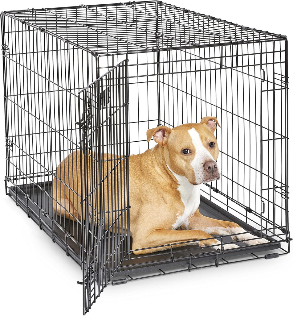 36-Inch iCrate for Medium-Large Breeds, 41-70 lbs, Single Door Folding Dog Crate with Divider Panel