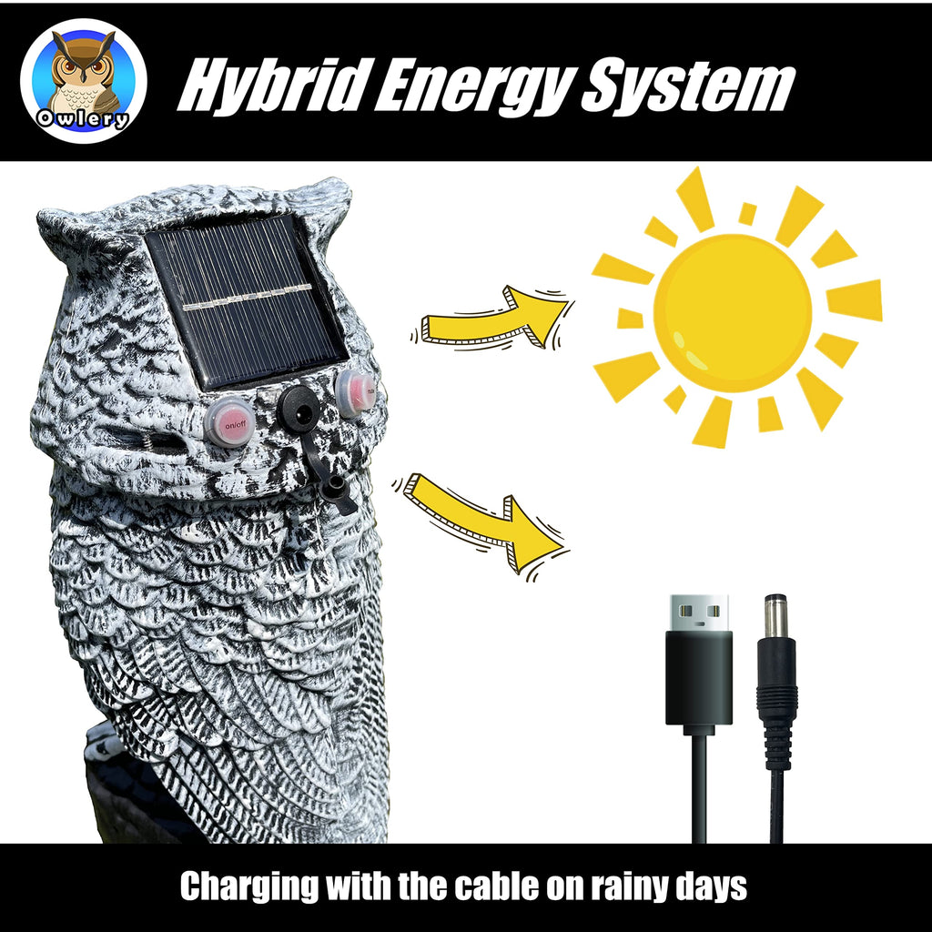 Snowy Solar Owl With Motion Detector, Flashing Eyes, Spinning Head, Realistic Hooting and Silent Mode, Outdoor