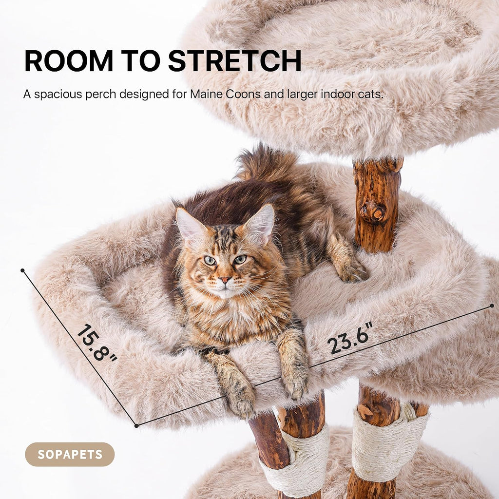 Maine Coon Cat Tree for Large Cats, Solid Wood Cat Tower with Removable Cushions and Sisal Scratching Posts, Modern
