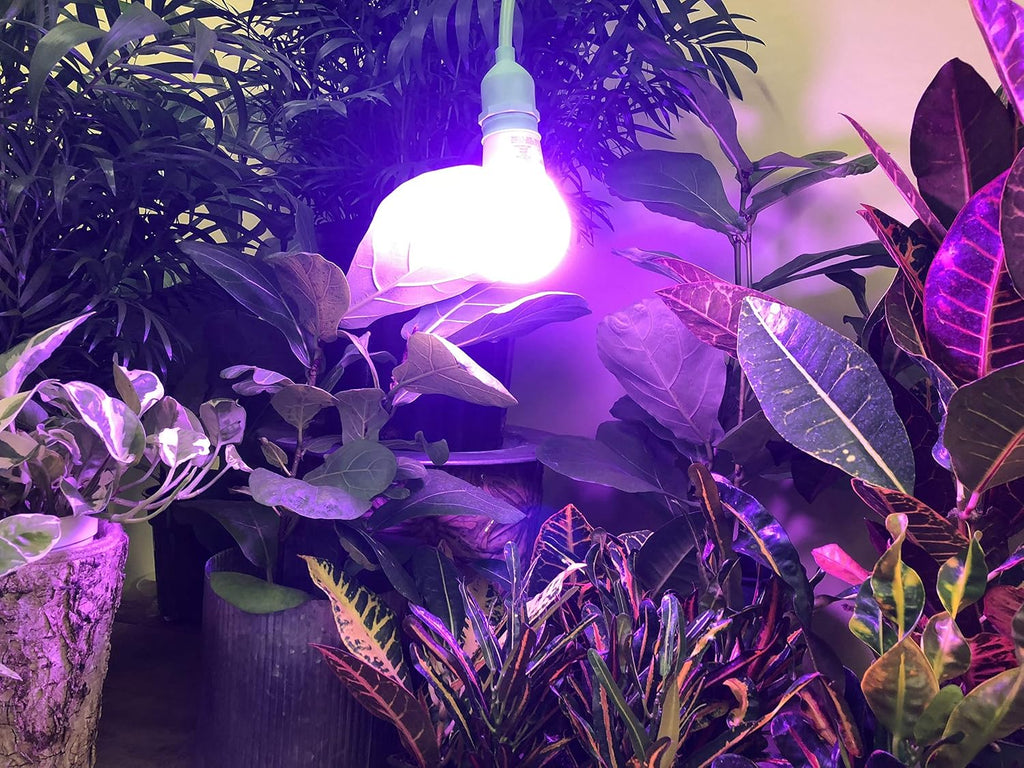 4KK Indoor Grow Light Bulb - 4000K Red and Blue Spectrum Grow Bulbs for Vegetables, Herbs, Hydroponics. (2-Pack)