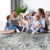 5x7 Area Rugs for Living Room Rug Washable: Modern Rug for Dining Room Bedroom Carpet Non Slip Low Pile 5 by 7 Indoor