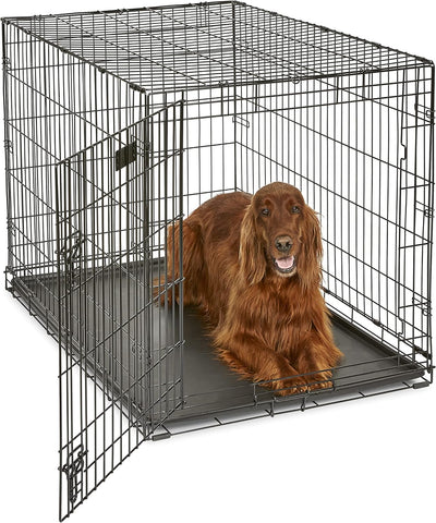 42-Inch iCrate for Large Breeds, 71-90 lbs, Single Door Folding Dog Crate with Divider Panel