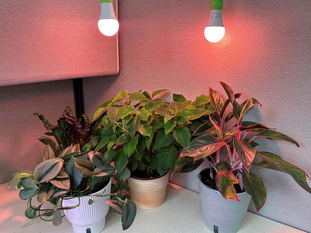 S Red Spectrum Wide Angle Grow Light Bulbs (4-Pack)