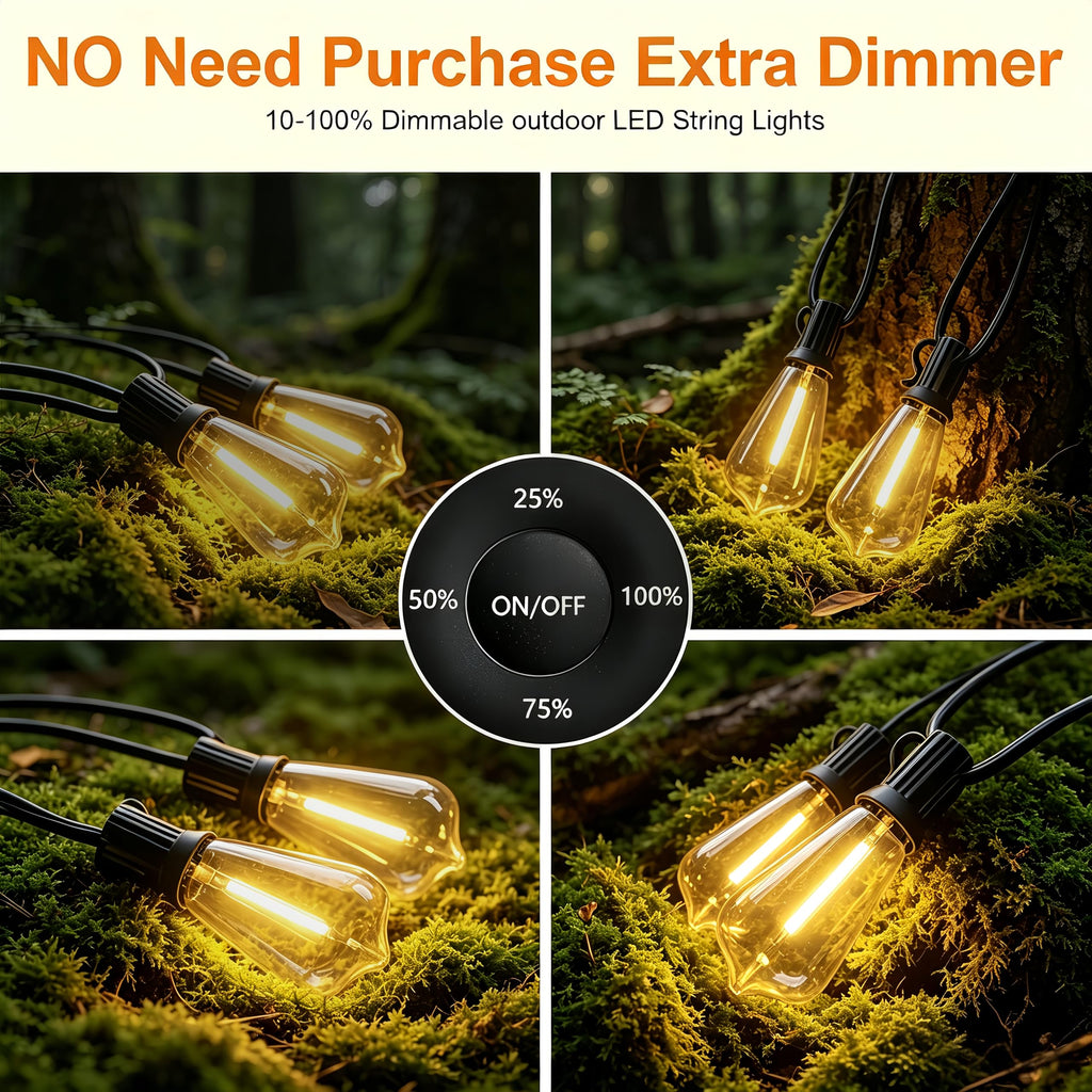 60FT Outdoor String Lights ST38 LED with Remote Waterproof Dimmable