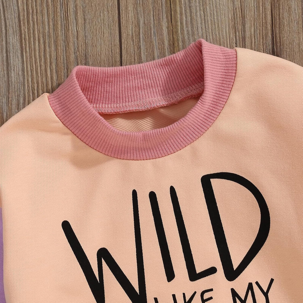 Toddler Baby Girl Clothes Kids Fall Winter Outfits Sweatshirt + Pants Sets