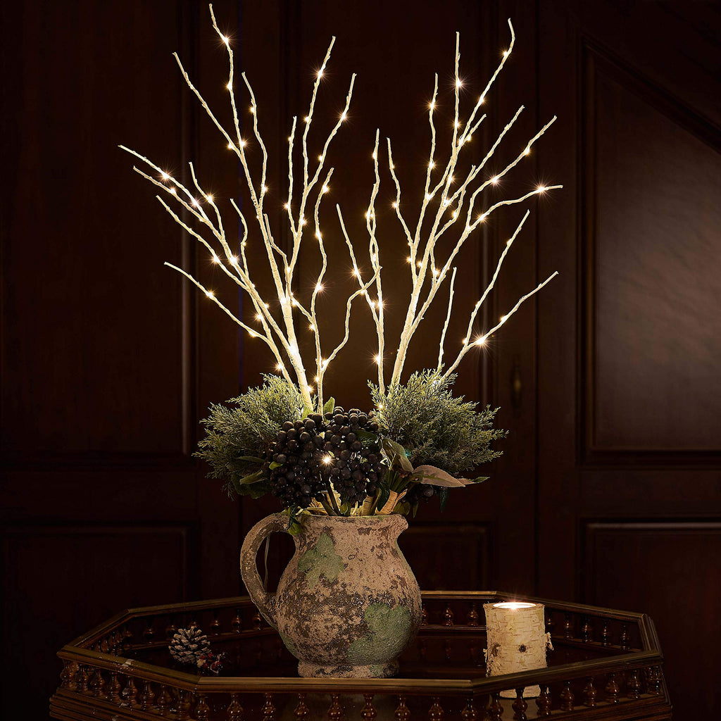 Lighted Birch Branches Battery Operated with 8 Functions 100 Multi Color and Warm White Lights, Pre Lit Twig Branches