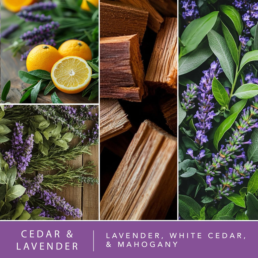 Cedar & Lavender Water-Based Reed Diffuser - 5 FL OZ