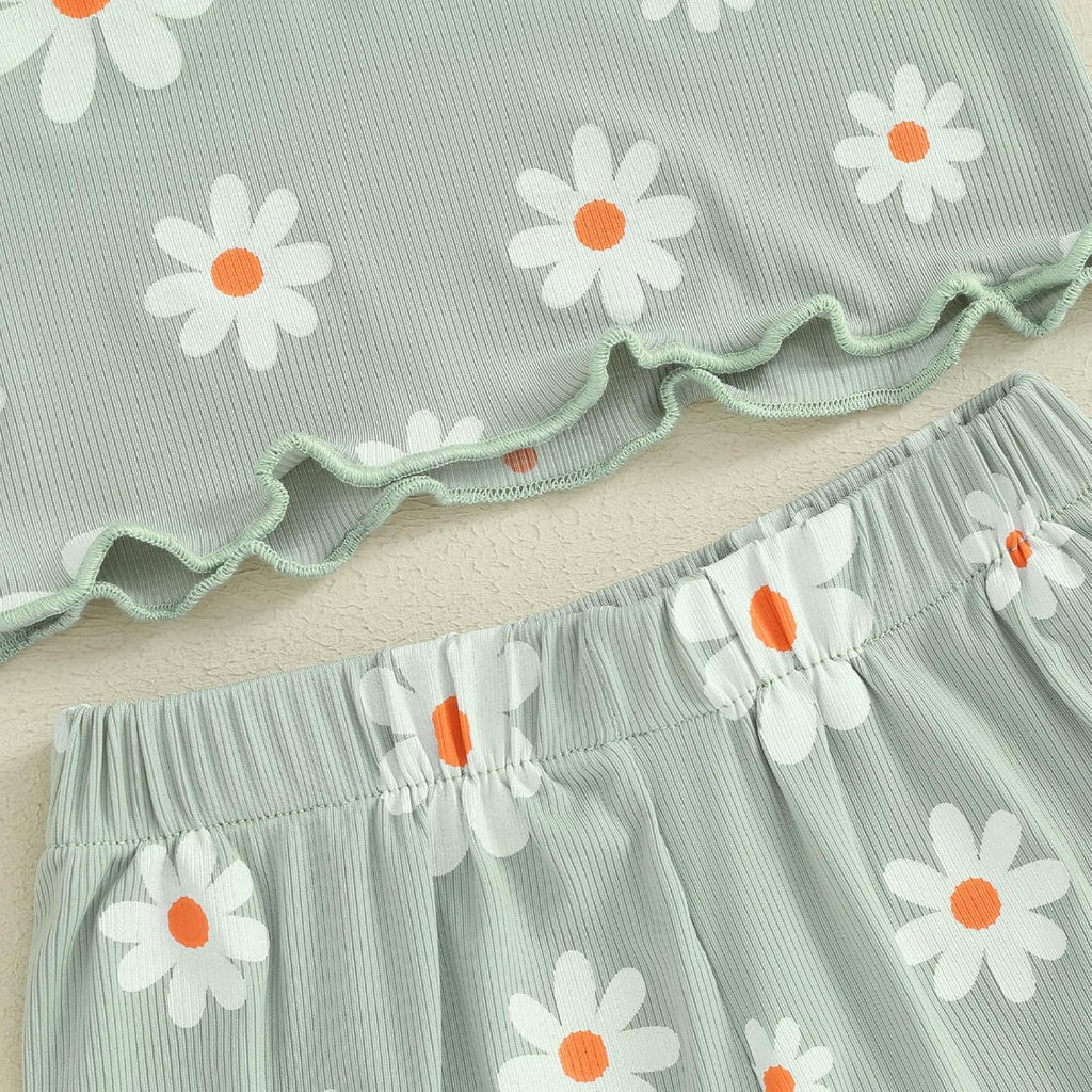 Toddler Baby Girl Summer Outfits Ruffle Short Sleeve Tops Shorts Set