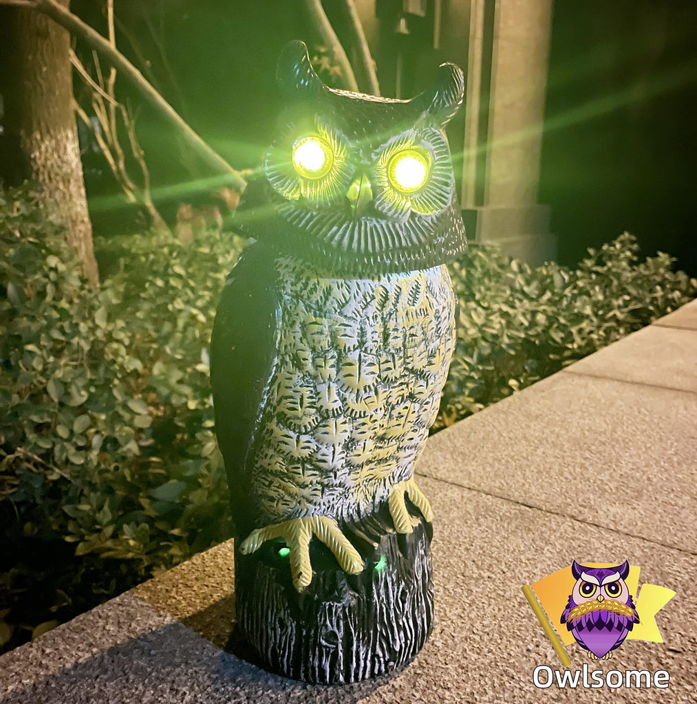 Solar Owl with Glowing Eyes, Rotating Head, Hoot Sound, Motion Detector and Silent Mode, Plastic Owl Garden
