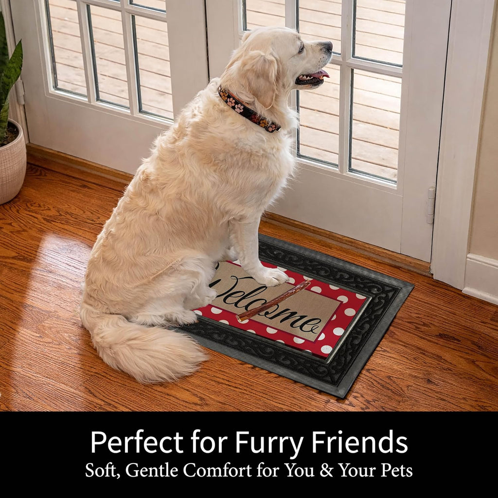 Sassafras Fall Christmas Holiday Doormat Insert Bundle & Tray Set of 5, Interchangeable Entrance Door mats Indoor and