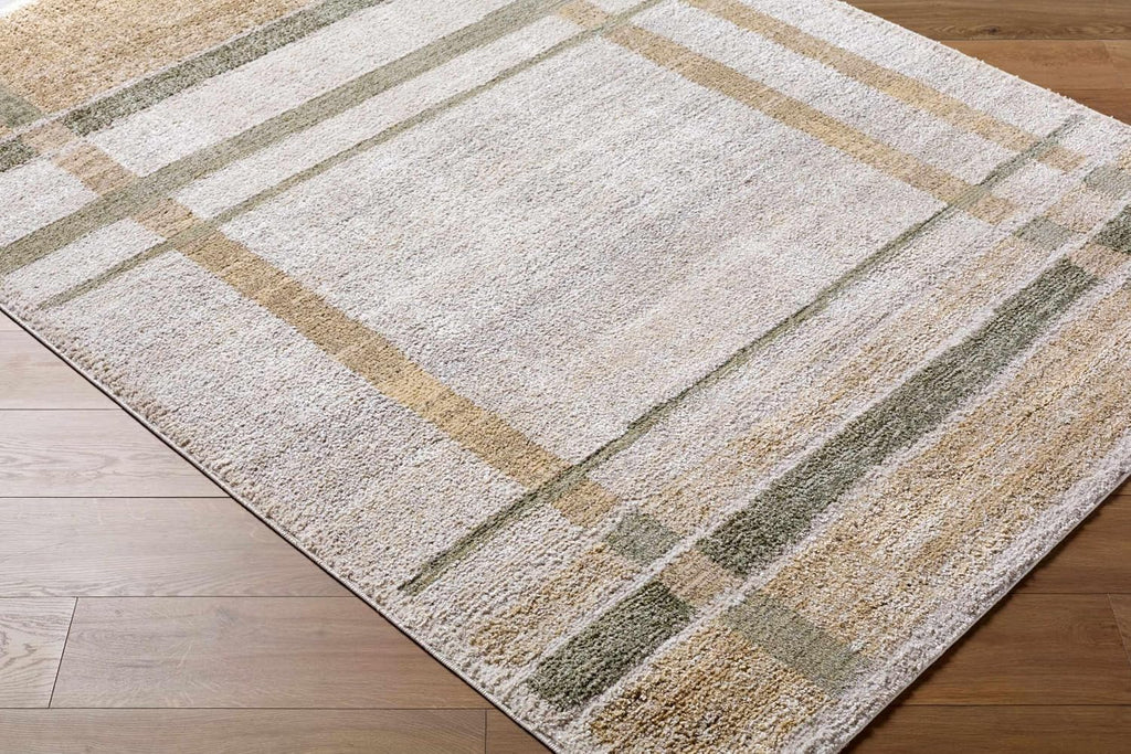 Harini Living Room, Bedroom Area Rug - Plaid Striped Geometric Border - Bohemian Transitional Modern Contemporary