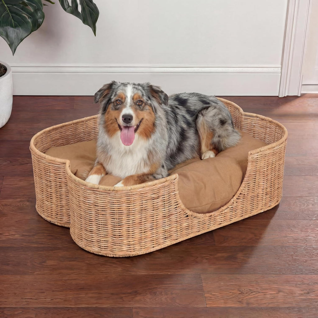 Scallop Handwoven Water Hyacinth Pet Bed with Machine Washable Cushion, 31" x 20" Wicker Cat and Dog Bed
