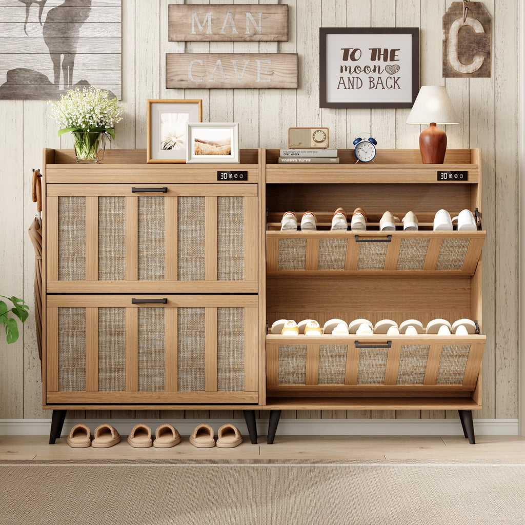 Shoe Storage Cabinet with 2 Flip Drawers and Deodorizer