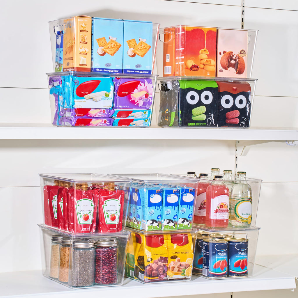 Large Clear Storage Bins with Lids, Stackable Containers, 8 Pack